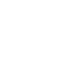 Texas Pledge Clothing Brand